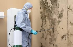 Why You Should Choose Our Mold Remediation Services in Forest Acres, SC